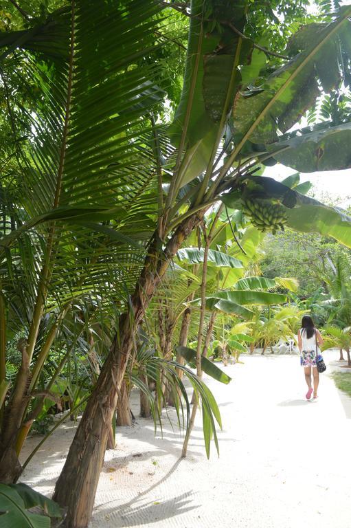 Villa Veuve Casadani Hotel Insel Insel La Digue Exterior foto