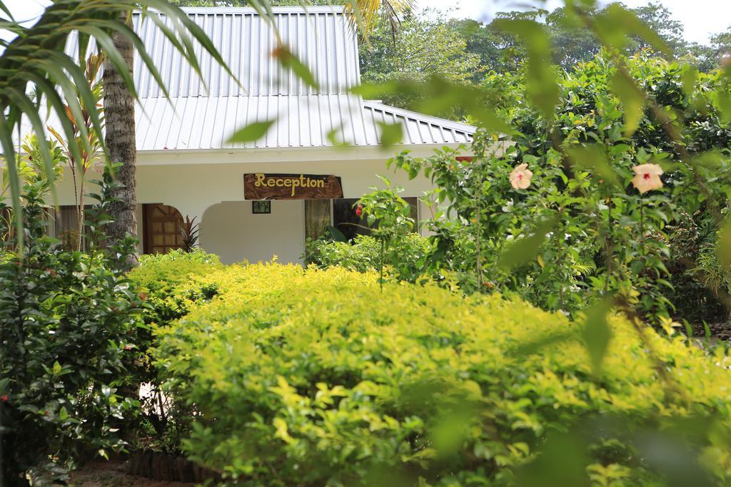 Villa Veuve Casadani Hotel Insel Insel La Digue Exterior foto