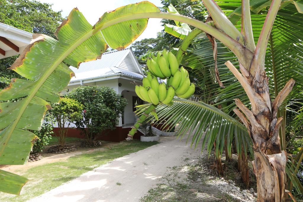 Villa Veuve Casadani Hotel Insel Insel La Digue Exterior foto